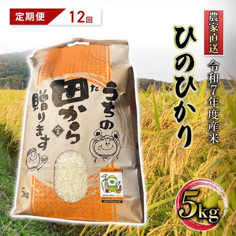 ひのひかり 令和7年産 筑後小郡産 農家直送 ひのひかり【5kg】【定期便 全12回】