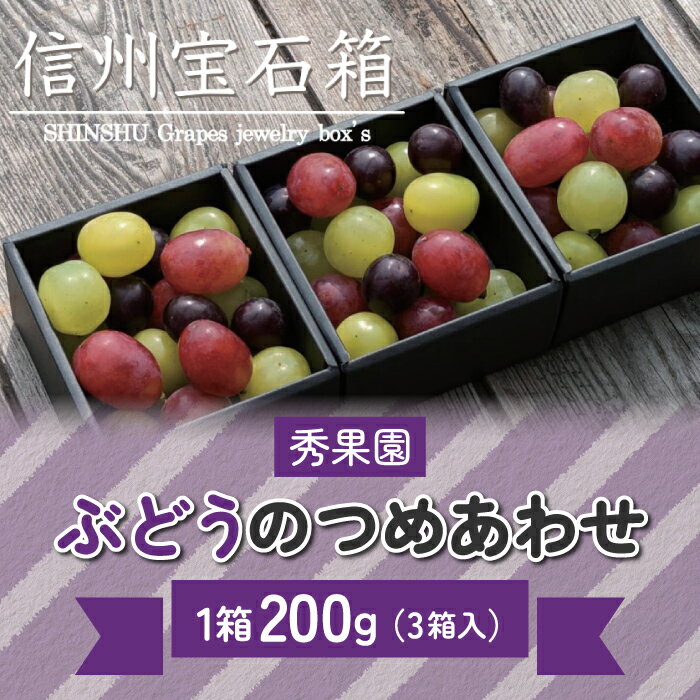 【ふるさと納税】【2026年発送】信州宝石箱（ぶどうの詰め合わせ）｜ 秀果園 　※2026年9月上旬以降 順次発送
