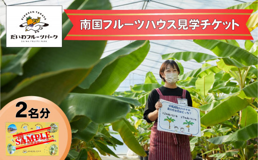 【現地で体験】岩手県陸前高田市で南国フルーツハウス見学 大人2名様分 濃厚スムージー付き 【 南国 フルーツ 見学 体験 果物 】 だいわフルーツパーク