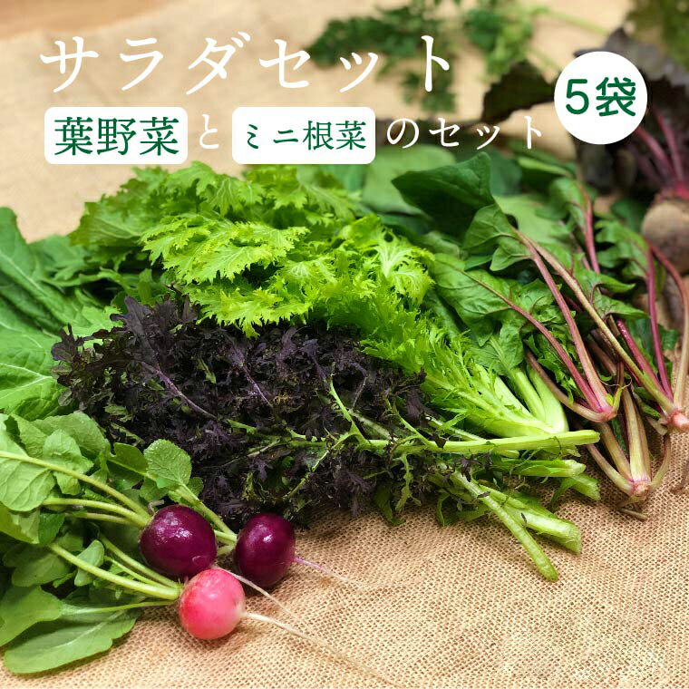 【ふるさと納税】都内マルシェで人気のお野菜！ サラダに最適！葉野菜とミニ根菜のセット 5袋 F21R-208