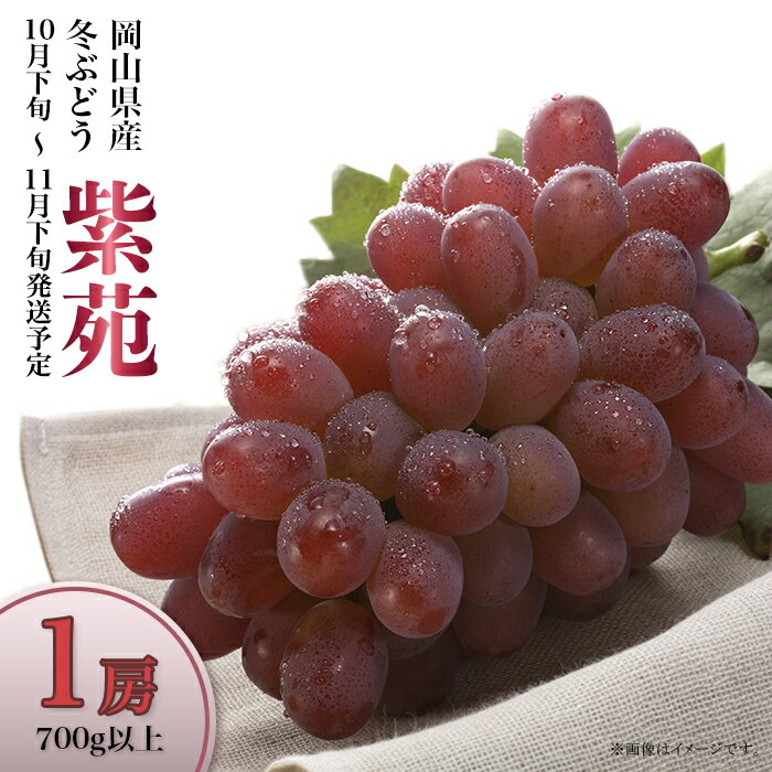 【ふるさと納税】フルーツ先行予約 岡山 ぶどう 種無し 紫苑 しえん 1房 700g 果物 国産 ブドウ くだもの 74-20 冬ぶどう「紫苑」1房（700g以上）【2026年10月下旬～11月下旬発送予定】