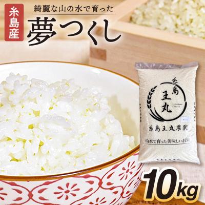 ふるさと納税 糸島市 夢つくし 10kg 糸島王丸農園(谷口汰一)【いとしまごころ】[AAZ005]