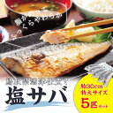 【ふるさと納税】1170 塩サバ 5本セット　　　さば　　鯖　　送料無料