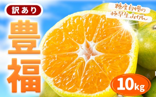 【先行予約】訳あり 極早生みかん 「豊福」10kg 箱入り 都呂々みかん生産者グループ《2026年10月中旬-11月下旬頃出荷》 フルーツ 果物 くだもの 柑橘 みかん ミカン 蜜柑 熊本県 苓北町【配送不可地域あり】