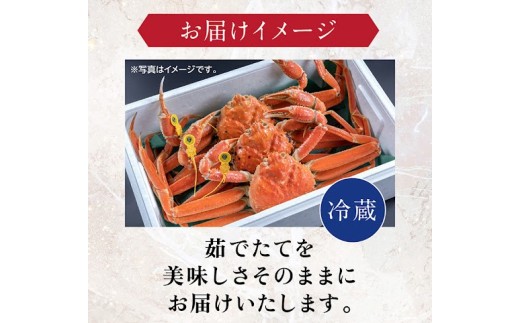 【冷蔵発送】＼早期予約開始／越前がに（メス）「せいこがに」 特大サイズ 210g前後 × 10杯