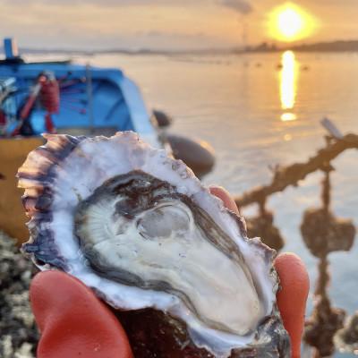 ふるさと納税 七尾市 石川県七尾産　能登かきのオイル漬け(1瓶) |  | 02