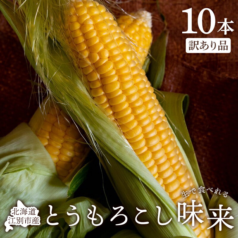 【ふるさと納税】とうもろこし味来 10本入り 訳あり品 生で食べられる トウモロコシ とうきび コーン 新鮮野菜 減農薬栽培 北海道 江別市 EB8-0784