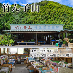 ＜先行予約受付中！2027年1月上旬以降順次発送予定＞竹ん子山のボンタン(約3kg) 国産 鹿児島県産 阿久根産 柑橘 果物 フルーツ ぼんたん 文旦 果実 期間限定 【竹ん子山】akn097-11