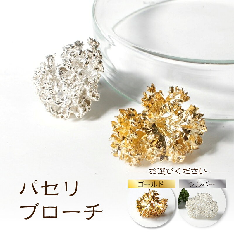 【ふるさと納税】【nico】パセリブローチ ブローチ シルバー シルバー製 silver パセリ 野菜 モチーフ