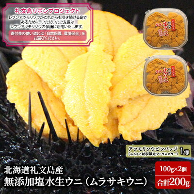 【ふるさと納税】【礼文島リボンプロジェクト】 北北海道 礼文島産 塩水ウニ （ キタムラサキウニ ）100g×2 生うに うに 雲丹 魚貝類 海の幸 海鮮 　お届け：2026年5月上旬～9月中旬まで