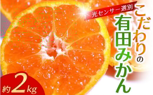 【2026年11月発送予約分】＼光センサー選別／農家直送 こだわりの有田みかん 約2kg【ご家庭用】【11月発送】みかん ミカン 有田みかん 温州みかん 柑橘 有田 和歌山 ※北海道・沖縄・離島配送不可/みかん ミカン 有田みかん 温州みかん 柑橘 有田 和歌山 産地直送【nuk159-11A】