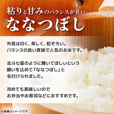 ふるさと納税 江別市 【北海道江別市】北海道ななつぼし(無洗米)5kg  特Aランク　お米 |  | 01