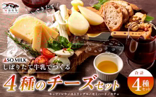★レビューキャンペーン対象返礼品★三ツ星受賞の牛乳を使用！牧場の風を感じる”阿部牧場しぼりたて牛乳でつくる出来立てチーズ4種セット” 乳製品詰め合わせ  チーズ モッツァレラ ストリングス ストリングチーズ セミハード カチョ カチョカバロ  阿部牧場 ASOMILK 阿蘇ミルク ミシュラン 3つ星 受賞 牛乳 手作り 牧場直送 人気 お取り寄せ ギフト 贈答用 贈り物 濃厚 極上 熊本県 阿蘇市