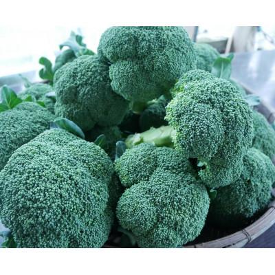 ふるさと納税 鞍手町 朝採れ　農家直送ブロッコリー　10個(3kg以上) |  | 01