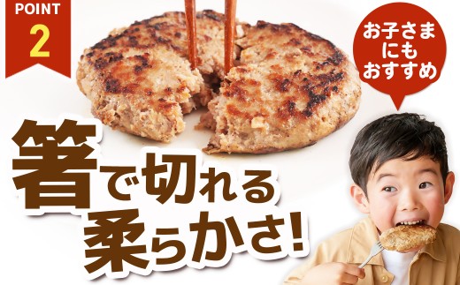 【訳あり】万能ハンバーグ2.4kg(120g×20個)　冷凍のまま10分で焼ける【1778293】