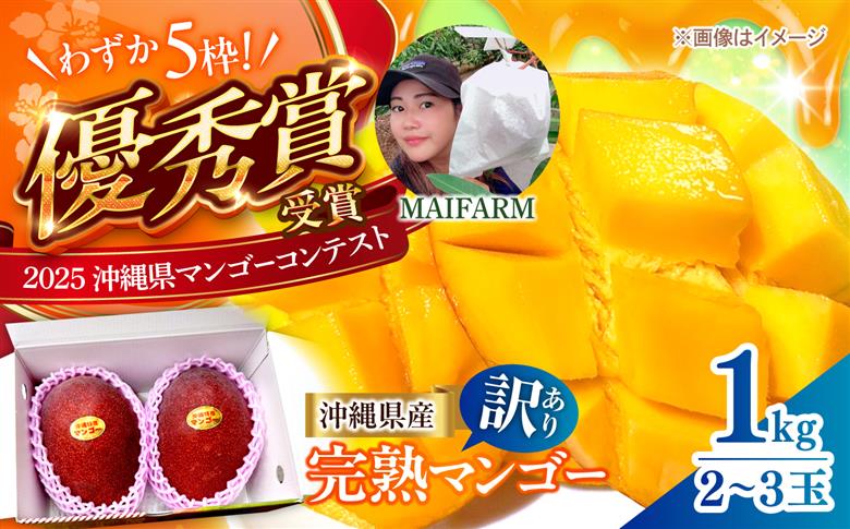 【優良賞受賞】沖縄県産 完熟マンゴー 優品 1kg (2～3玉) マンゴー 沖縄 果物 フルーツ ギフト 沖縄市 / MAIFARM [BCAN003]