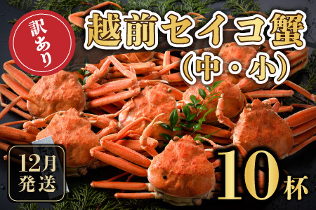 【先行予約】 訳あり≪茹で≫越前セイコ蟹(中・小) 10杯 【2025年12月発送分】 [K-1601_12]