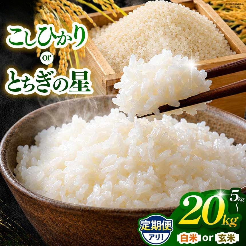 【ふるさと納税】 米 お米 定期便 米5kg 米10kg 先行予約 栃木県共通返礼品 コシヒカリ とちぎの星 玄米 白米 令和8年度産 5kg 10kg 15kg 20kg | こしひかり コシヒカリ とちぎの星 お米 米 okome kome 玄米 白米 精米 ご飯 栃木県 那珂川町 送料無料
