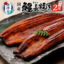 【ふるさと納税】 鰻 うなぎ 長焼き 冷凍 魚 焼津 2尾 セット たれ付き 国産 真空パック a18-042