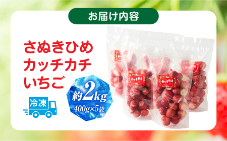 【冷凍いちご】森のいちごのカッチカチいちご【さぬきひめ】　2kg|いちご 苺 ストロベリー さぬき姫 さぬきひめ 香川県オリジナル 希少 甘い 完熟 フルーツ 冷凍 果物 旬 香川県 三木町|_mk0
