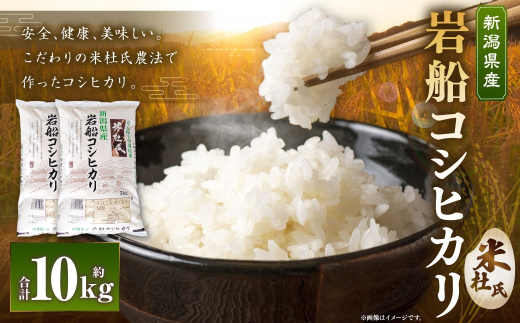 
                  令和7年産 新潟県 村上市 岩船産米杜氏コシヒカリ 10kg （ 5kg × 2 ） お米 米 こめ コメ 白米 こしひかり コシヒカリ ブランド米 白飯 飯 ご飯 おにぎり 国産 新潟県産 005-0002
                