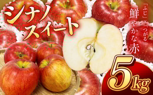 南信州産 りんご シナノスイート 約5kg 【2025年9月～10月発送】 | 果物 くだもの フルーツ シナノスイート 林檎 りんご リンゴ 信濃 新鮮 長野県 信州 南信州 飯田市