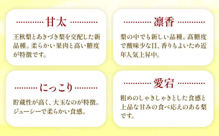 おまかせ梨 秀品 約5kg 日本フルーツ《8月上旬-10月末頃出荷》熊本県 長洲町 なし 梨 果物 フルーツ デザート ギフト ご贈答---sn_cnfomn_af810_25_16000_5kg--