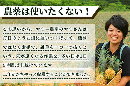 【先行受付】希少！濃厚！「枝先完熟・てのひらパイン」ピーチ・ポコット食べ比べセット　2025年4月～7月順次発送 OI-4
