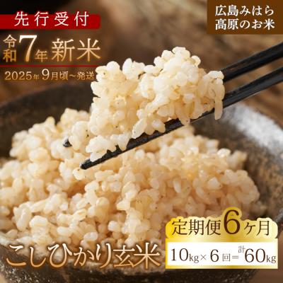 ふるさと納税 三原市 【先行受付】■6か月定期便■ 令和7年新米 コシヒカリ玄米10kg [220-012]