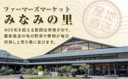 旬の梨（約5kg)＜筑前町産 産地直送＞【梨 なし ナシ 果物 梨 なし 果実 くだもの 梨 なしフルーツ 新鮮 豊水 梨 なし 幸水 梨 なし 秋月 梨 なし あきづき 梨 なし 新高 梨 なし 王