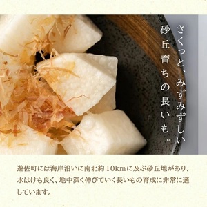 1323　長いも 2.5kg（2～3本）山形県遊佐町産