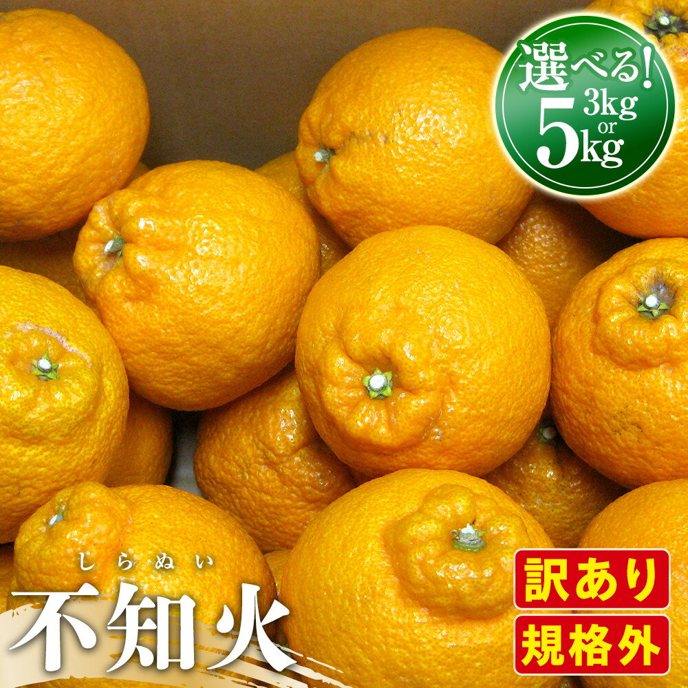 【ふるさと納税】【2月下旬頃～発送】訳あり 規格外 不知火 (しらぬひ) ★選べる内容量★ | しらぬい 訳あり 不知火 くだもの 果物 フルーツ 柑橘 みかん スイーツ 特産品 デザート 旬 期間限定
