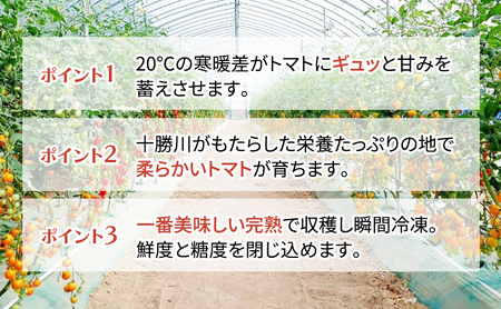 ミニトマトジュース 赤180ml×6本 トマトジュース