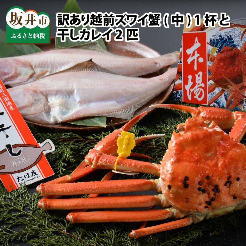 【ふるさと納税】【先行予約】訳あり ≪茹で≫越前ズワイ蟹(中) 1杯 と 干しカレイ 2匹【2026年1月〜3月発送】【カニ かに わけあり 海鮮 蟹 越前がに 越前ガニ ずわいがに ズワイガニ 姿 まるごと 日本海 冬の味覚 国産 県産 セット 干物】