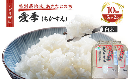 令和7年産 新米 アグリ檜山米 愛季(ちかすえ) 白米 10kg ( 5kg × 2袋 )( 特別栽培米 あきたこまち ) 精米 お米 おこめ こめ コメ ごはん ご飯 大粒 令和7年  秋田 秋田県 能代市