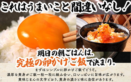 【11か月定期便】君嶋養鶏園のたまご Lサイズ 30個（27個＋割れ補償3個）×11ヶ月 計330個 | 定期便 11ヶ月 11か月 11ヵ月 卵 玉子 たまご 赤卵 赤たまご 生卵 国産 濃厚 鶏卵