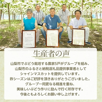 【先行受付】シャインマスカット 1kg (2房) 農家直送 世界農業遺産認定地特産【配送不可地域：離島】