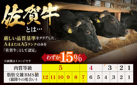 ミンチ付き！三栄のデイリーセット HAA091 ミンチ 国産 和牛 佐賀牛