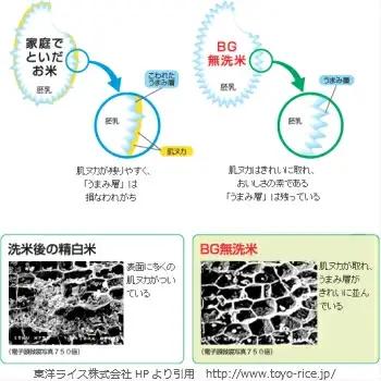 BG無洗米コシヒカリ 5kg×3回 定期便【隔月】【令和7年産 2ヶ月に1回 配送 6ヶ月 計15kg 半年間 島根県産 愛を米 米 こしひかり 新生活応援 お試し 節水 時短 アウトドア キャンプ 