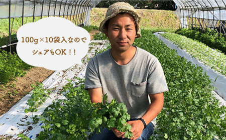 【先行予約販売】糸島産 パクチー 1kg （100g×10袋） 糸島市 / MURA FARM[AFD002]
