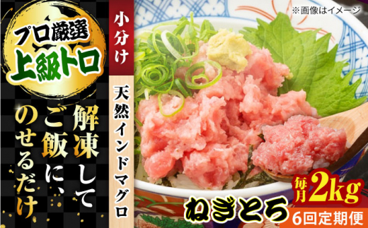 【全6回定期便】天然 まぐろ ねぎとろ 約2kg（約250g×8パック） マグロ ねぎとろ 鮪 マグロ 魚 ネギトロ まぐろたたき 海鮮 海鮮丼 ねぎとろ巻き 小分け 横須賀【横須賀商工会議所 おもてなしギフト事務局（本まぐろ直売所 横須賀本店）】 [AKAK048]