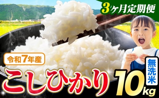 【3ヶ月定期便】令和7年産  無洗米 こしひかり 10kg(5kg×2袋)《お申込み翌月出荷》熊本県産 ふるさと納税 無洗米 精米 ひの 米 こめ ふるさとのうぜい コシヒカリ コメ お米 おこめ