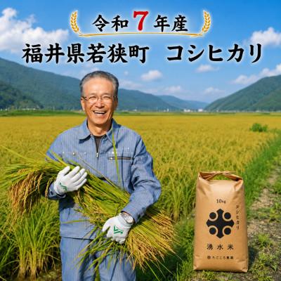 ふるさと納税 若狭町 【 令和7年産 】福井県若狭町 コシヒカリ 　10kg