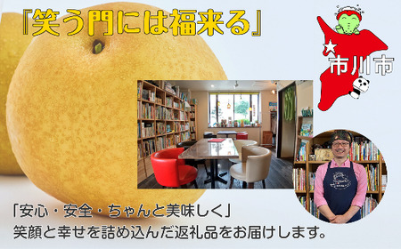 【濃香とろける】抹茶ぷりん12個セット　【12203-0345】