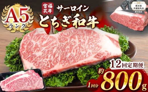 【栃木県共通返礼品】【定期便12回】宮福笑牛(とちぎ和牛) A5 サーロインステーキ　約200gx4枚  | 黒毛 和牛 牛肉 焼肉 とろける 霜降り 赤身 切り落とし ふるさと 納税 イチオシ おすすめ 栃木県 下野市 しもつけ市