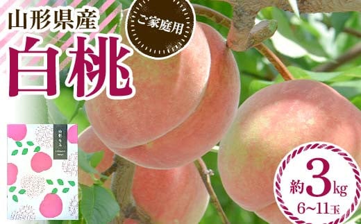 
            FYN6-073 ≪2025年先行予約≫ ご家庭用 山形県産 品種おまかせ 白桃 約3kg（6～11玉） 2025年8月中旬から順次発送 柔らかくなる桃 はくとう 桃 もも モモ 果物 くだもの 夏果実 フルーツ 訳あり 農業者支援 家庭用 自宅用 産地直送 山形県 西川町 月山
          