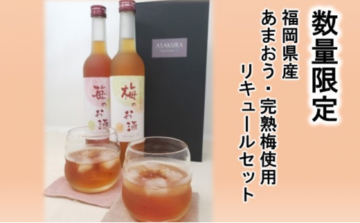 
【数量限定】濃いめのお酒 飲み比べ 500ml×2本セット（苺のお酒/梅のお酒）
