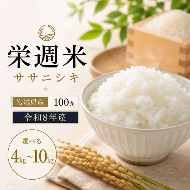 【ふるさと納税】令和8年産 栄週米 ササニシキ（精米）＜選べる 4kg ／ 5kg／10kg ＞ ※10月上旬より順次発送予定　/ 米 お米 ささにしき 精米 新米