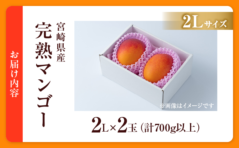 先行予約 宮崎県産 完熟マンゴー 2L×2玉 計700g以上 フルーツ スイーツ 果物 くだもの 食品 グルメ デザート 国産 産地直送 おすすめ おやつ ご褒美 贈り物 ギフト プレゼント 令和9年