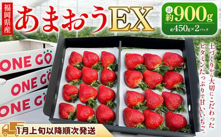 【ギフト用／特別栽培】 福岡県産 あまおう EX 約450g×2パック 【2025年1月上旬～3月下旬発送予定】 いちご イチゴ 苺 フルーツ 果物 くだもの ギフト 贈答用 贈り物 福岡県 遠賀町